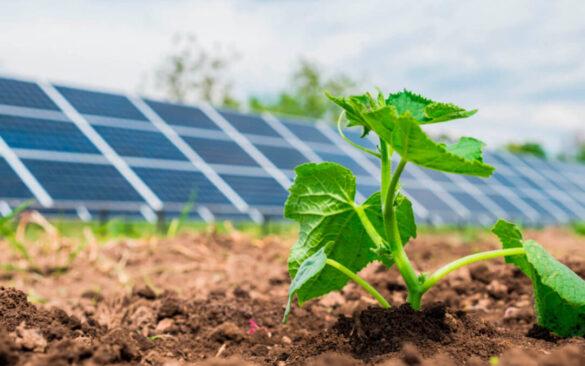 odnawialne źródła energii