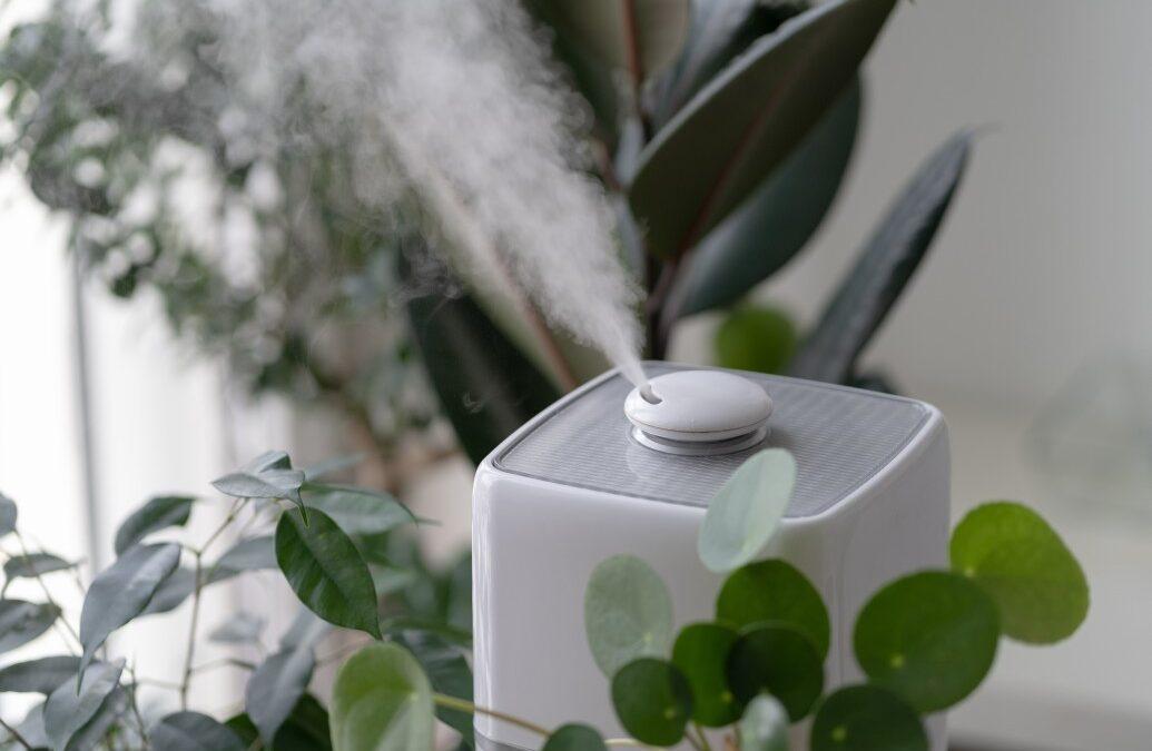Jak sprawić, aby powietrze w domu miało odpowiednią wilgotność?