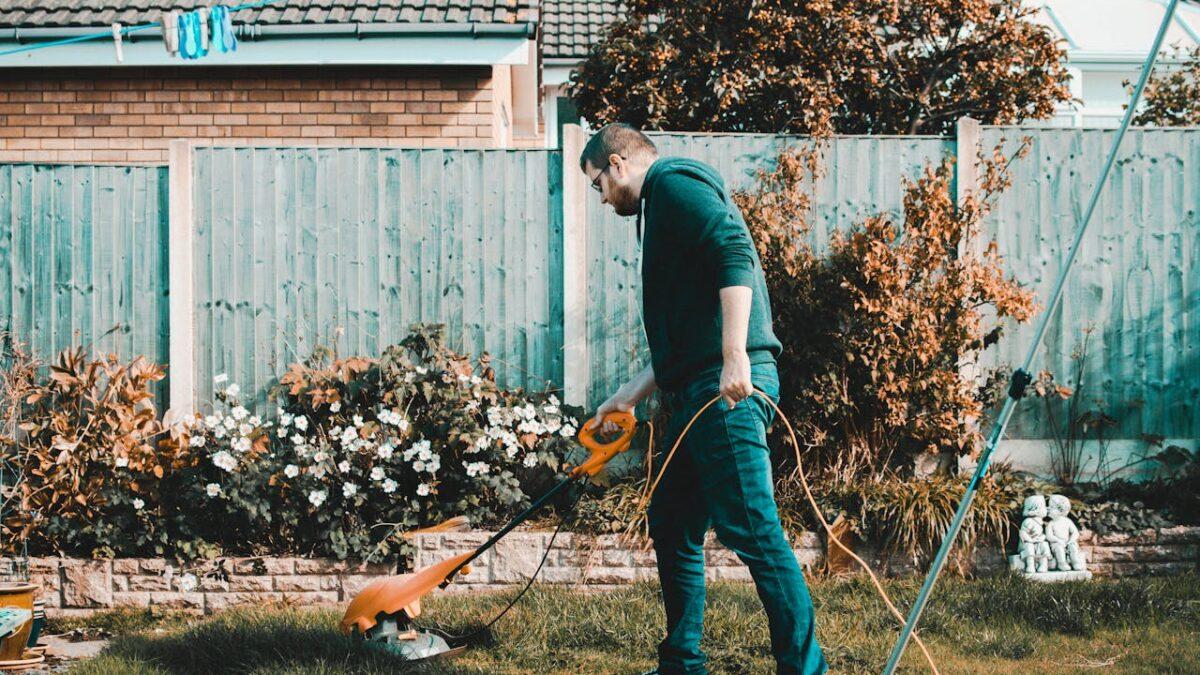 Jaki sprzęt do swojego ogrodu możesz kupić u dealera STIHL?